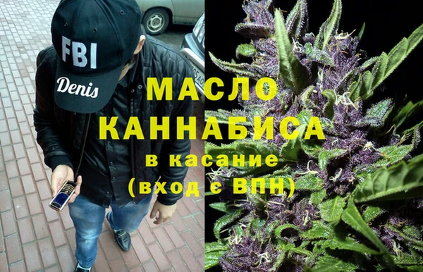 гидра Снежногорск