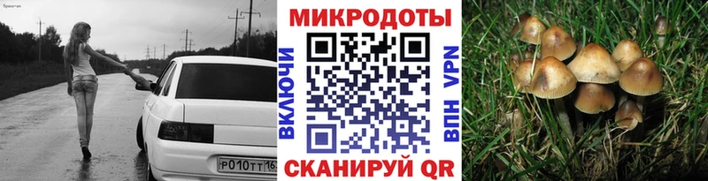Галлюциногенные грибы Cubensis  Жигулёвск 